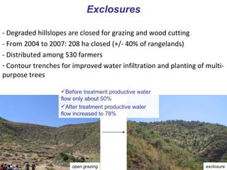 Integrated rainwater management strategies for environment and resilience