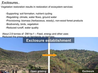 Integrated rainwater management strategies for environment and resilience