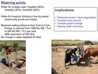 Integrated rainwater management strategies for environment and resilience