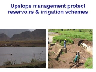 Integrated rainwater management strategies for environment and resilience