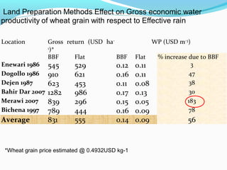 Land use and water management in rainfed agriculture for enhanced systems productivity: The case of Vertisol areas in the Blue Nile Basin