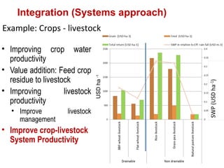Land use and water management in rainfed agriculture for enhanced systems productivity: The case of Vertisol areas in the Blue Nile Basin