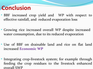 Land use and water management in rainfed agriculture for enhanced systems productivity: The case of Vertisol areas in the Blue Nile Basin