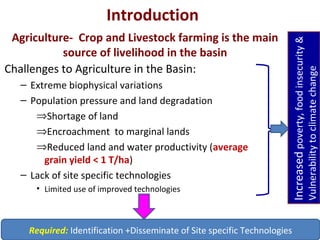 Land use and water management in rainfed agriculture for enhanced systems productivity: The case of Vertisol areas in the Blue Nile Basin