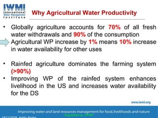 Land use and water management in rainfed agriculture for enhanced systems productivity: The case of Vertisol areas in the Blue Nile Basin