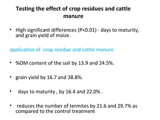 Integrated termite management in degraded crop land in Diga District, Ethiopia