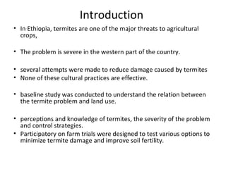 Integrated termite management in degraded crop land in Diga District, Ethiopia