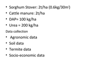 Integrated termite management in degraded crop land in Diga District, Ethiopia