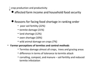 Integrated termite management in degraded crop land in Diga District, Ethiopia