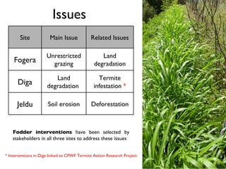 NBDC local innovation platforms: Progress so far