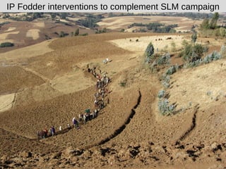 NBDC local innovation platforms: Progress so far