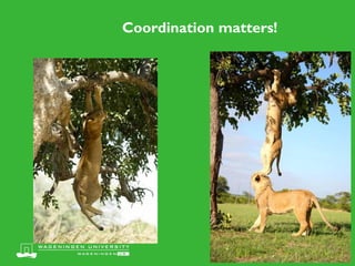 Unlocking the potential of livestock technologies in Ethiopia: Shifting from piecemeal solutions to holistic approach