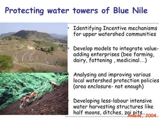 Nile Basin Development Challenge: Rainwater Management Systems