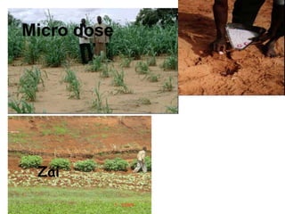 Nile Basin Development Challenge: Rainwater Management Systems