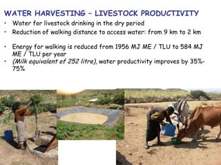 Nile Basin Development Challenge: Rainwater Management Systems