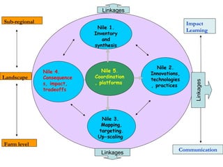 Nile Basin Development Challenge: Rainwater Management Systems