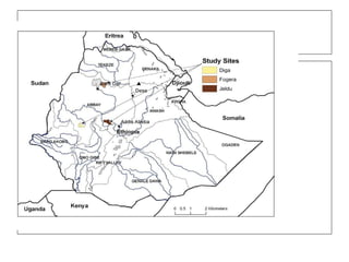 Nile Basin Development Challenge: Rainwater Management Systems