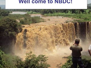 Nile Basin Development Challenge: Rainwater Management Systems