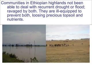 Nile Basin Development Challenge: Rainwater Management Systems