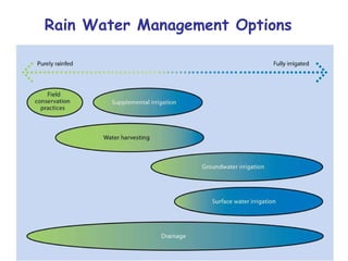 Nile Basin Development Challenge: Rainwater Management Systems