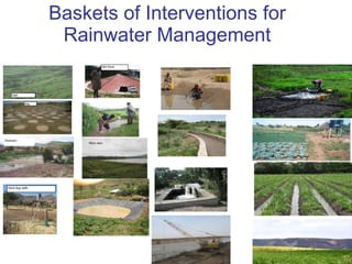 Nile Basin Development Challenge: Rainwater Management Systems