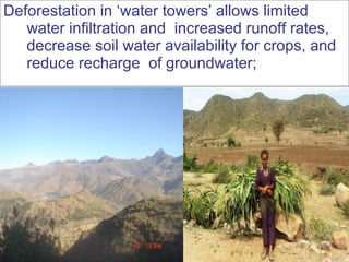 Nile Basin Development Challenge: Rainwater Management Systems