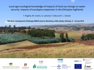 Local agro-ecological knowledge of impacts of land use change on water
security: impacts of eucalyptus expansion in the Ethiopian highlands
T. Pagella, M. Cronin, G. Lamond, T. Sida and F. L. Sinclair
Nile Basin Development Challenge (NBDC) Science Workshop, Addis Ababa, Ethiopia, 9 – 10 July 2013
 