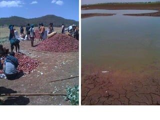 Baseline research on livelihoods and RWM planning, implementation & innovation