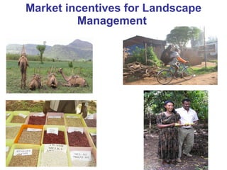 Nile Basin Development Challenge: Rainwater Management Systems