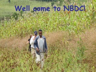 Nile Basin Development Challenge: Rainwater Management Systems