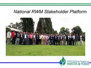 The Nile Basin Development Challenge: Part of the CGIAR Challenge Program on Water and Food