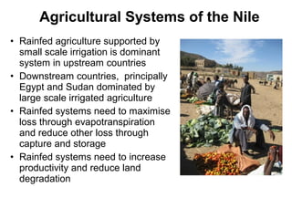 The Nile Basin Development Challenge: Part of the CGIAR Challenge Program on Water and Food