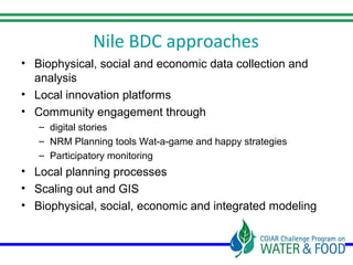 The Nile Basin Development Challenge: Part of the CGIAR Challenge Program on Water and Food
