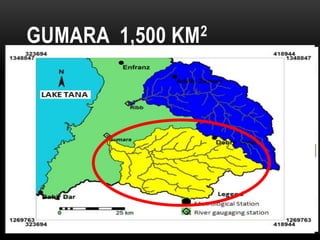 GUMARA 1,500 KM2
 