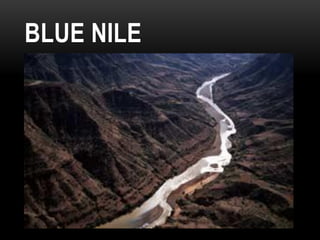 BLUE NILE
 