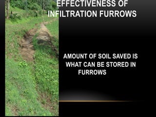 EFFECTIVENESS OF
INFILTRATION FURROWS
AMOUNT OF SOIL SAVED IS
WHAT CAN BE STORED IN
FURROWS
 