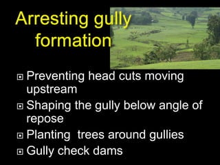  Preventing head cuts moving
upstream
 Shaping the gully below angle of
repose
 Planting trees around gullies
 Gully check dams
 
