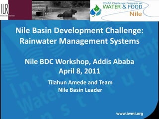 Nile Basin Development Challenge: Rainwater Management Systems Nile BDC Workshop, Addis Ababa April 8, 2011 Tilahun Amede and Team Nile Basin Leader 
