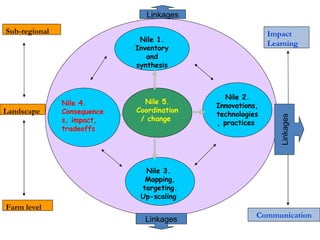 Nile Basin Development Challenge: Rainwater management systems