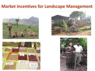 Nile Basin Development Challenge: Rainwater management systems