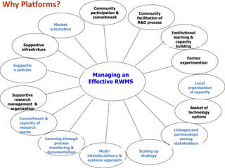 Nile Basin Development Challenge: Rainwater management systems