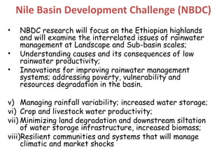 Nile Basin Development Challenge: Rainwater management systems