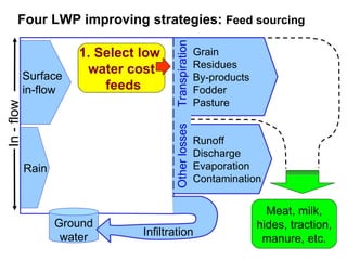 Options for increasing livestock water productivity in the Nile basin