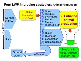 Options for increasing livestock water productivity in the Nile basin