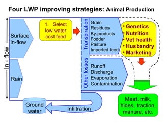 Options for increasing livestock water productivity in the Nile basin