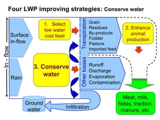 Options for increasing livestock water productivity in the Nile basin