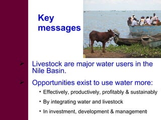 Options for increasing livestock water productivity in the Nile basin