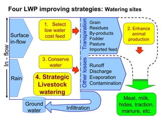 Options for increasing livestock water productivity in the Nile basin