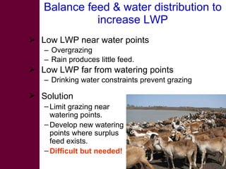 Options for increasing livestock water productivity in the Nile basin