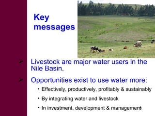 Options for increasing livestock water productivity in the Nile basin